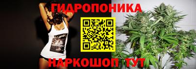 шишки Ливны