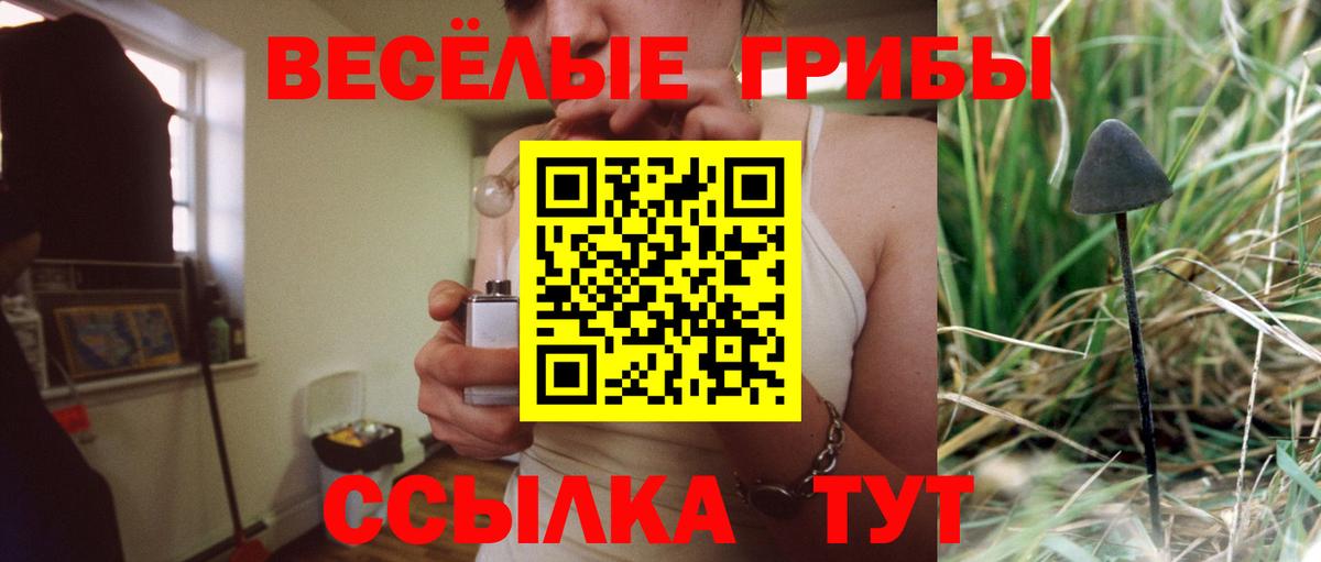 Псилоцибиновые грибы Psilocybe Ейск